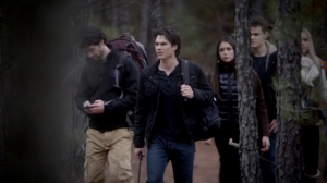 Résumé de l’épisode 13 saison 4   Into the Wild  Damon shane Stefan Elena